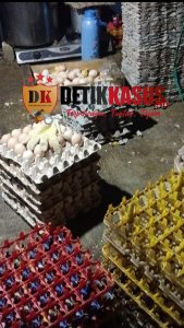 Tempat Pengolahan Kedua