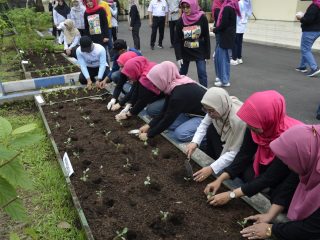 Kolaborasi Tim PKK,Dinas lingkungan hidup,Dinas Pertanian Kabupaten Jombang Jawa Timur