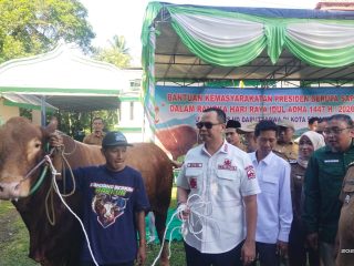 Wali Kota Serang Serahkan Sapi Limosin 1,1 Ton Bantuan Presiden Prabowo untuk Warga Walantaka