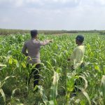 Anggota Polsek Bareng pantau tanaman jagung, wujud dukungan Ketahanan Pangan Nasional