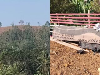 Penebangan Pohon di Buniwangi Sukabumi Dipertanyakan, Aspek Tata Ruang dan Lingkungan Jadi Sorotan