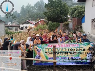 Panen Jagung BUMDes Surya Agung, Desa Lawang Agung Dorong Ketahanan Pangan Berbasis Potensi Desa