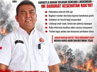 ORI Soroti Ancaman Karhutla, Ferri Nuzarli: Negara Harus Hadir Lindungi Rakyat dari Asap